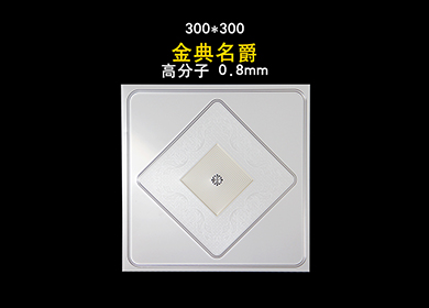 300*300——金典名爵 gfz0-8